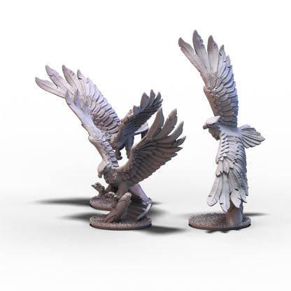 Aurethil Court | Eagles Unit | 10mm/15mm