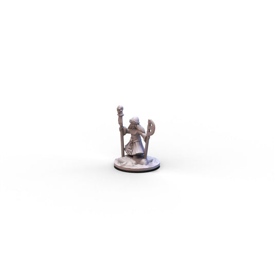 Northern Tzardom | Shaman on Foot | 10mm/15mm
