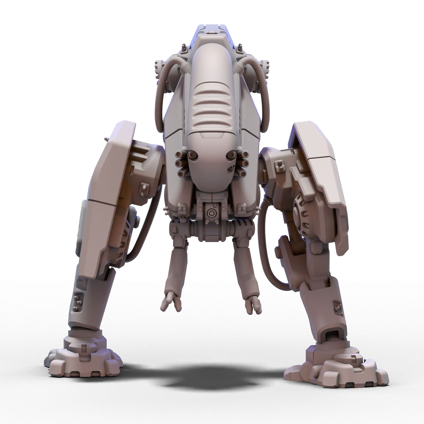 The Corsairs | Beluga Rig 1 | 6mm