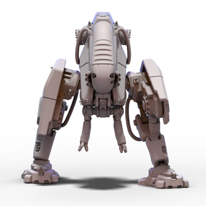 The Corsairs | Beluga Rig 1 | 6mm