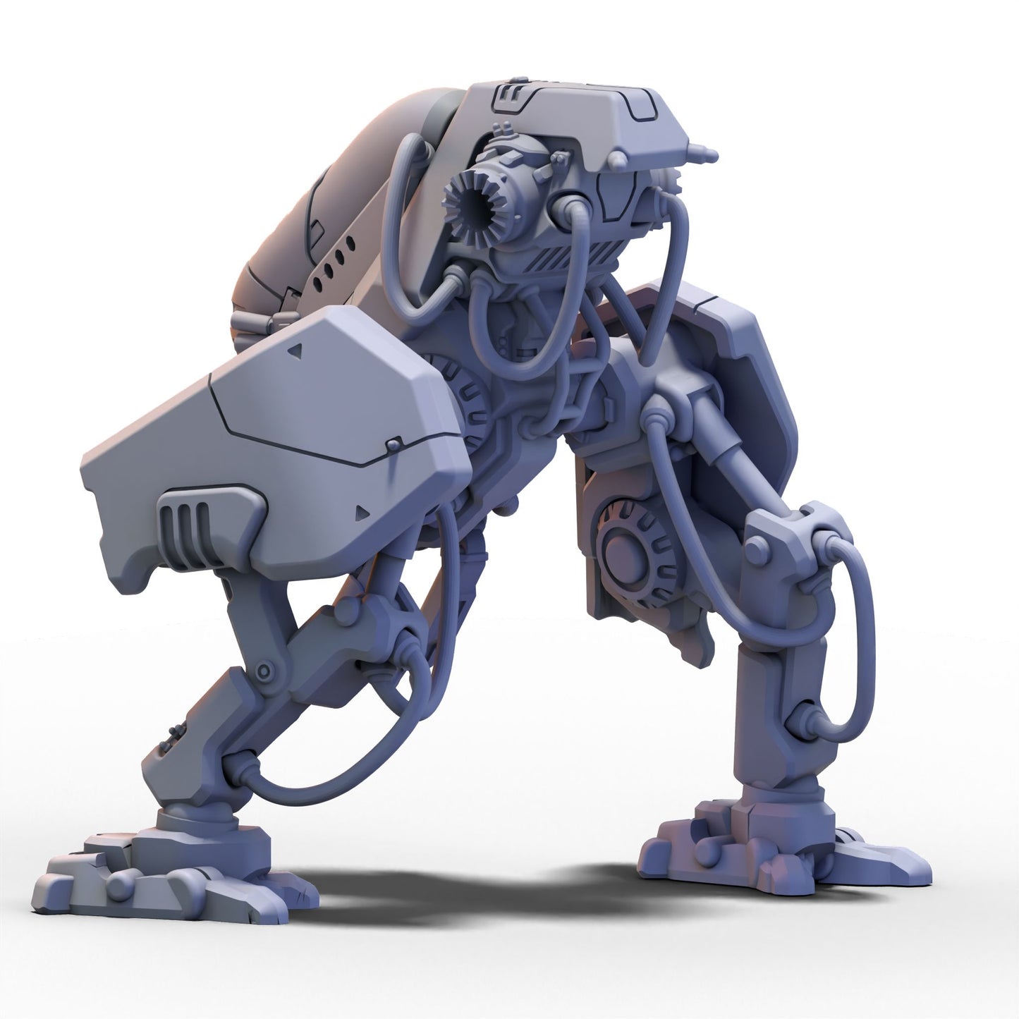 The Corsairs | Beluga Rig 1 | 6mm