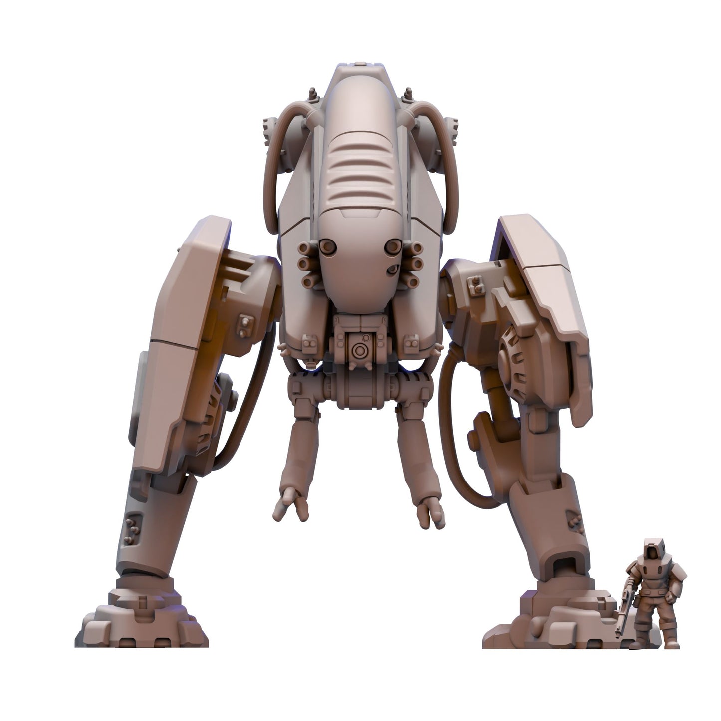The Corsairs | Beluga Rig 1 | 6mm