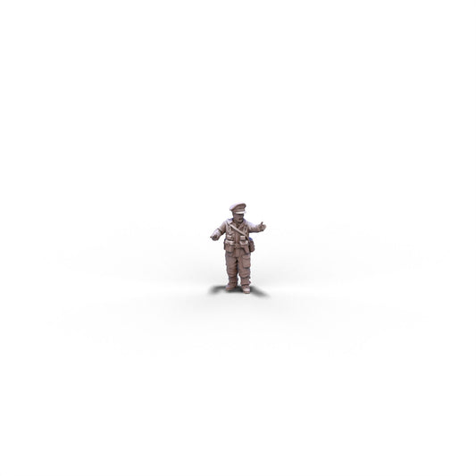 Great Britain | Officer | 28mm miniatures