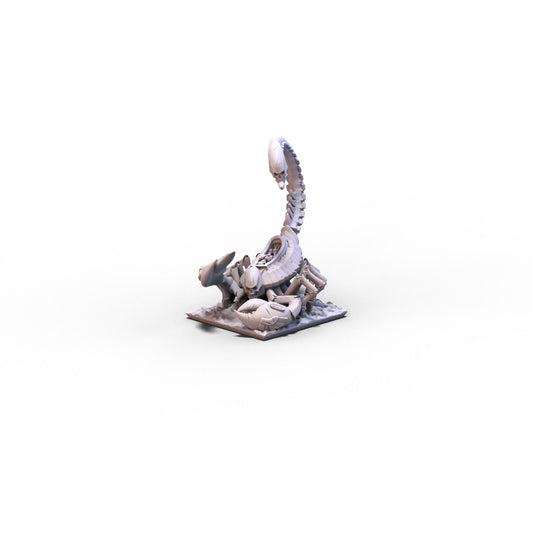 King of Sands | Scorpion 2 | 10mm/15mm